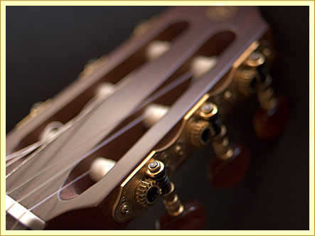 bongo in a bubble bei Radio Bremen Beat Club & friends