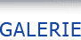 GALERIE